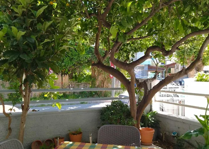 Cosy Living 1 * העיירה קוס